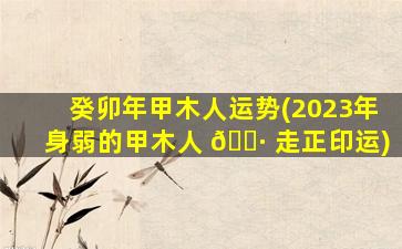 癸卯年甲木人运势(2023年身弱的甲木人 🕷 走正印运)
